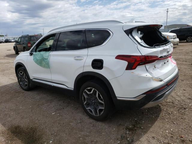 2021 Hyundai Santa Fe Limited VIN: 5NMS4DAL0MH339974 Lot: 53977234