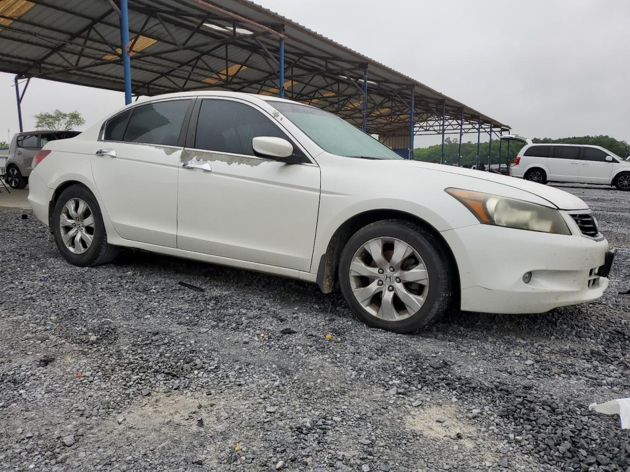 5KBCP3F81AB005560 2010 Honda Accord Exl