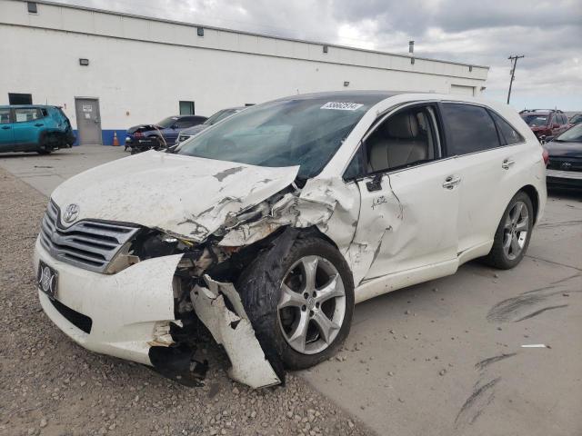 2009 Toyota Venza VIN: 4T3BK11A19U008231 Lot: 55662514