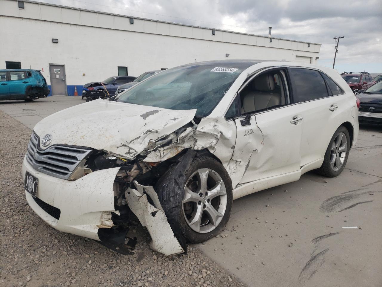 4T3BK11A19U008231 2009 Toyota Venza