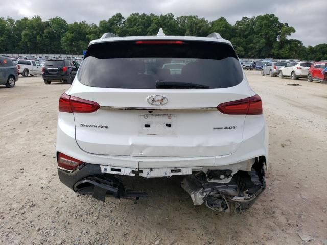 2020 Hyundai Santa Fe Limited VIN: 5NMS5CAA1LH253805 Lot: 55502754