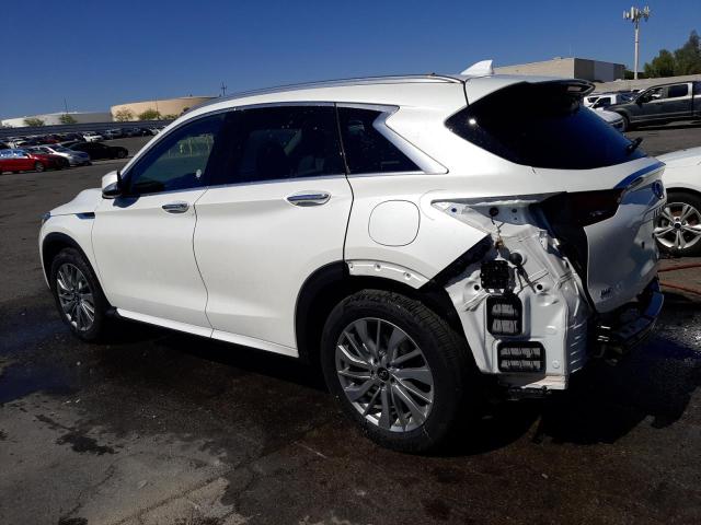 2024 Infiniti Qx50 Luxe VIN: 3PCAJ5BB6RF108795 Lot: 55378744