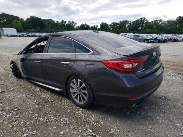 2015 HYUNDAI SONATA SPO - 5NPE34AF6FH158183
