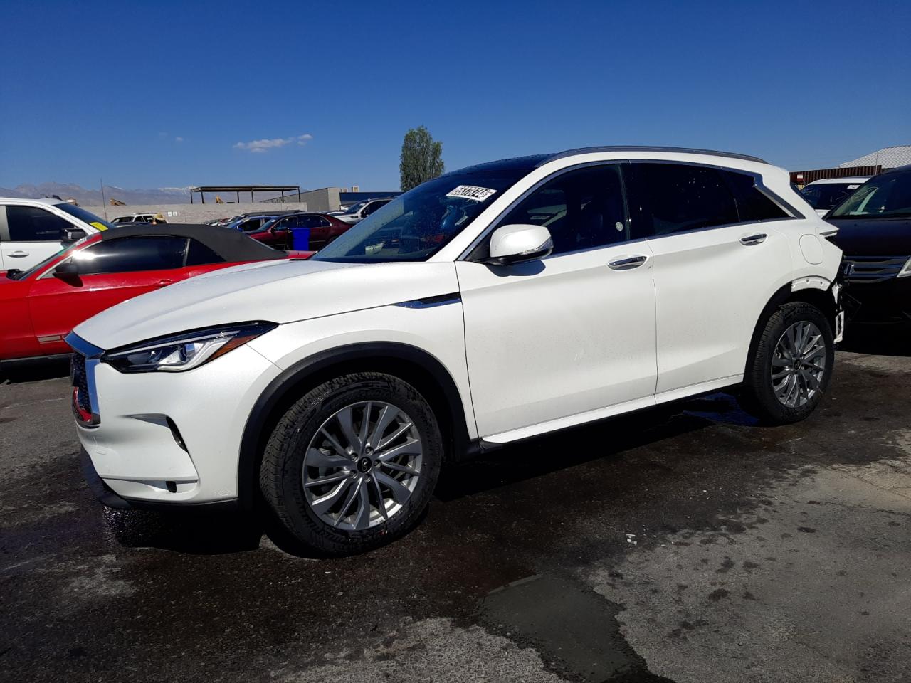 3PCAJ5BB6RF108795 2024 Infiniti Qx50 Luxe