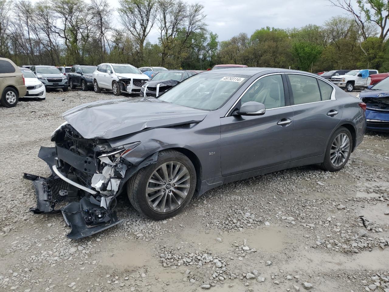 2019 Infiniti Q50 Luxe vin: JN1EV7AR5KM552265