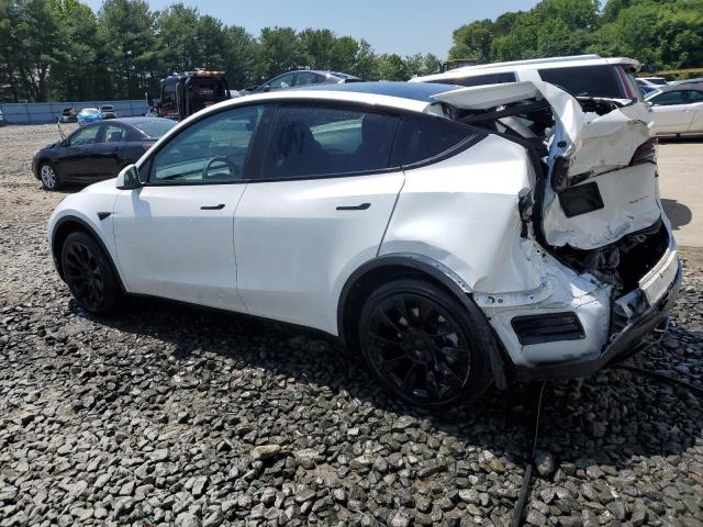 2023 Tesla Model Y VIN: 7SAYGDEE8PA071940 Lot: 54942164