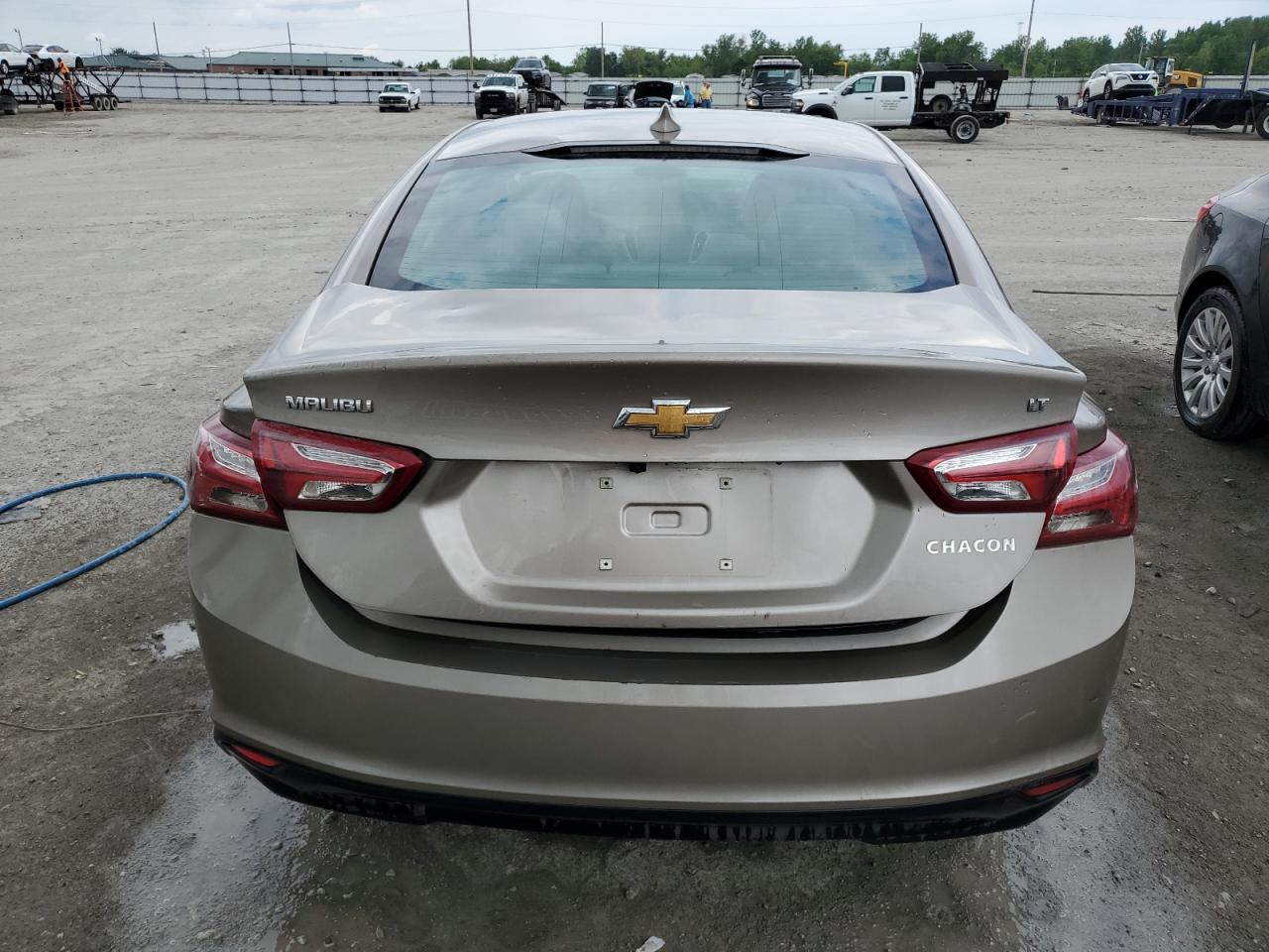 Lot #2970029878 2022 CHEVROLET MALIBU LT