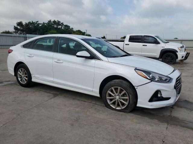 2019 Hyundai Sonata Se VIN: 5NPE24AF8KH756448 Lot: 53944194