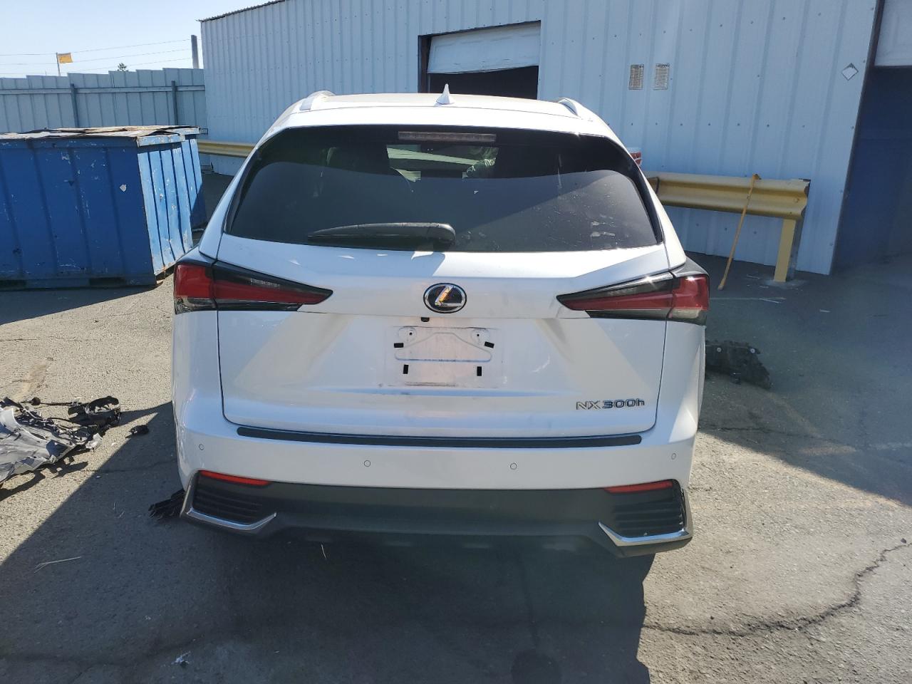 JTJBJRBZ4K2099254 2019 Lexus Nx 300H