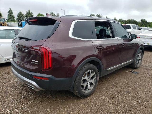 2021 Kia Telluride Ex VIN: 5XYP34HCXMG131836 Lot: 53815424