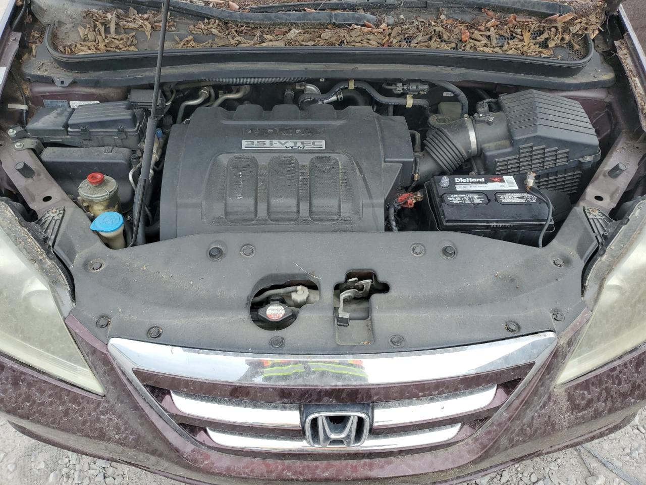 5FNRL388X7B048224 2007 Honda Odyssey Touring