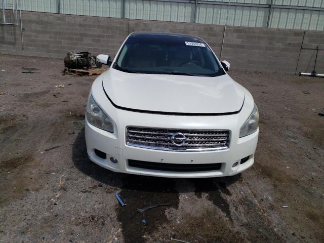 2010 Nissan Maxima S VIN: 1N4AA5AP2AC873541 Lot: 53953234