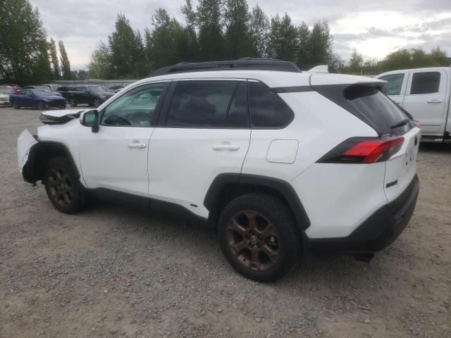 2023 TOYOTA RAV4 WOODL - 2T3UWRFVXPW152493