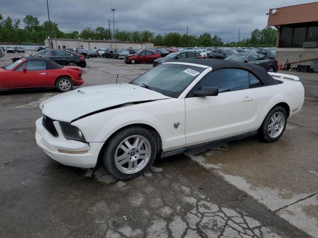 2009 Ford Mustang VIN: 1ZVHT84N695108134 Lot: 54269604