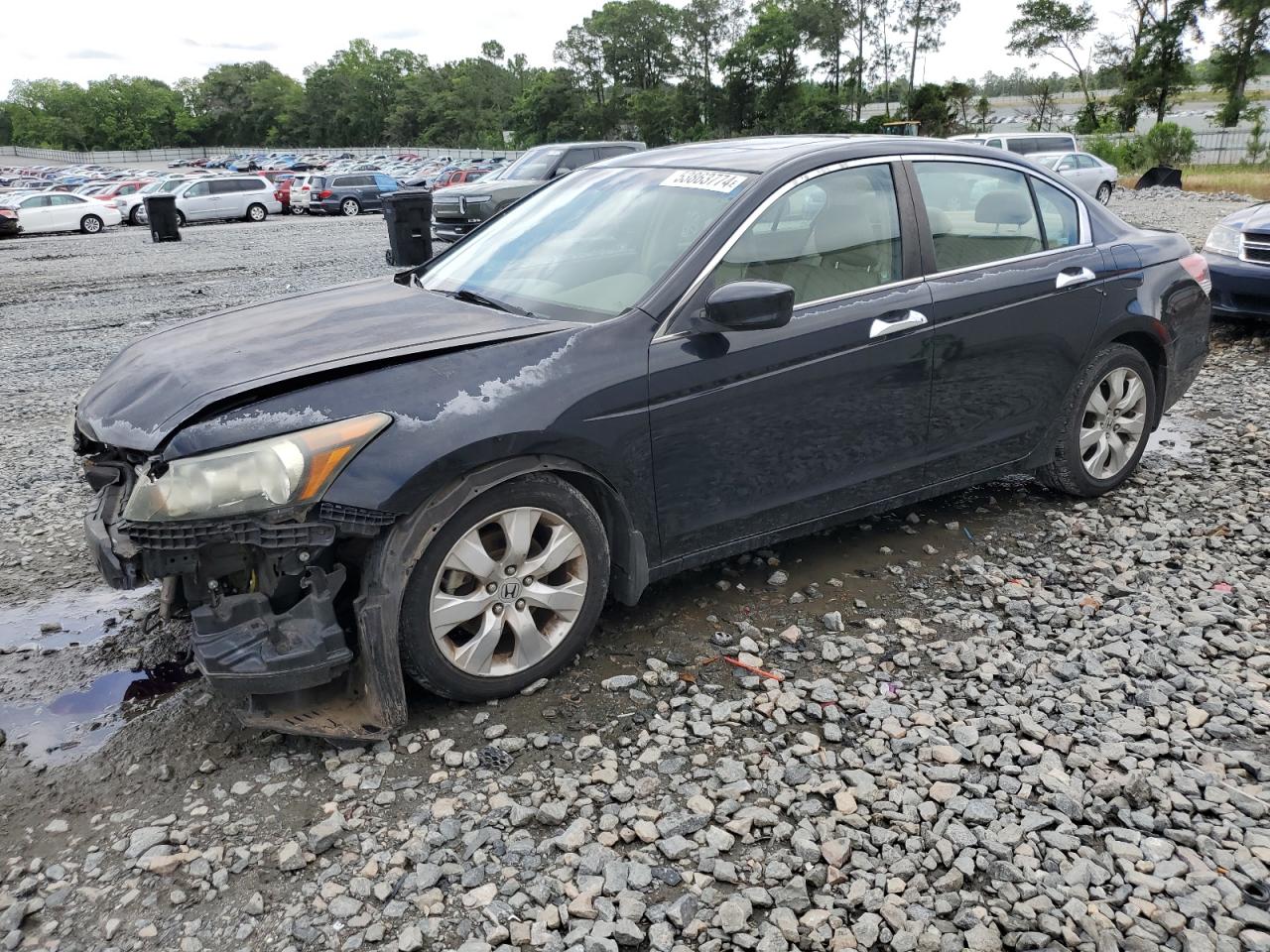 1HGCP36818A007716 2008 Honda Accord Exl