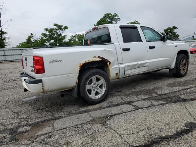 2011 Dodge Dakota Slt VIN: 1D7RW3GP7BS701917 Lot: 56801244