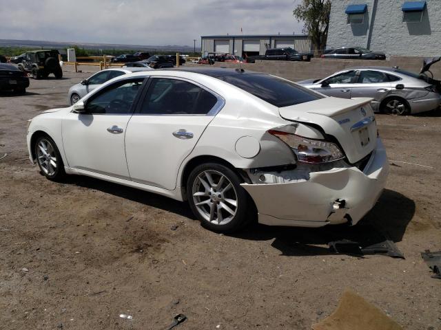 2010 Nissan Maxima S VIN: 1N4AA5AP2AC873541 Lot: 53953234