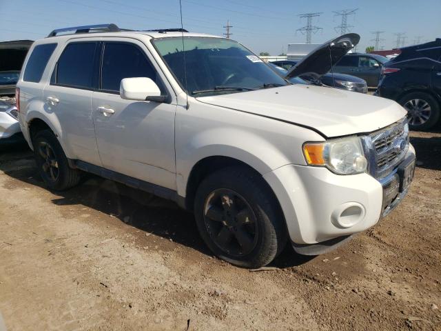 2010 Ford Escape Limited VIN: 1FMCU0EG3AKB61399 Lot: 55288554