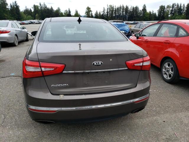 2014 Kia Cadenza Premium VIN: KNALN4D79E5156560 Lot: 53307804