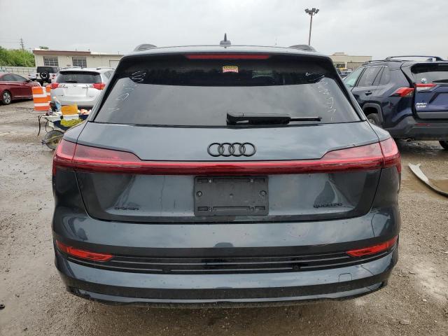 2022 Audi E-Tron Premium Plus VIN: WA1LAAGE9NB010971 Lot: 51066514