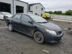 Lot #2701172266 2010 TOYOTA COROLLA BA