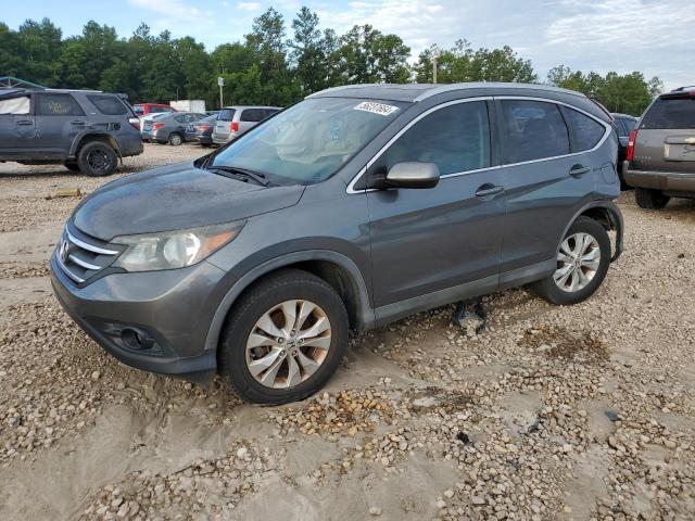 2013 Honda Cr-V Exl VIN: 5J6RM3H76DL031492 Lot: 56237664