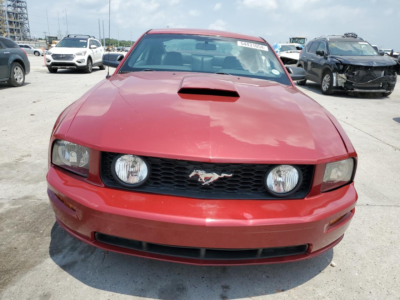 1ZVHT82H085102244 2008 Ford Mustang Gt