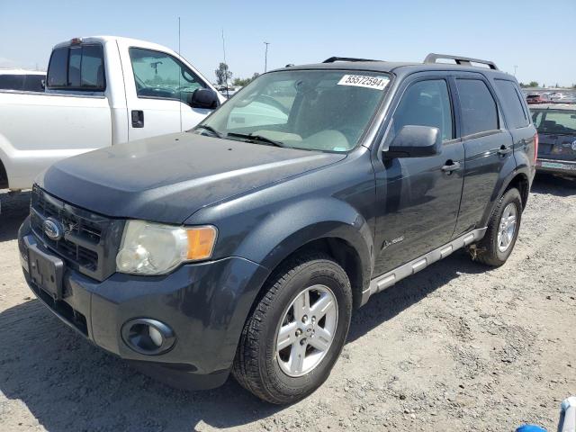 2009 Ford Escape Hybrid VIN: 1FMCU49379KB20560 Lot: 55572594