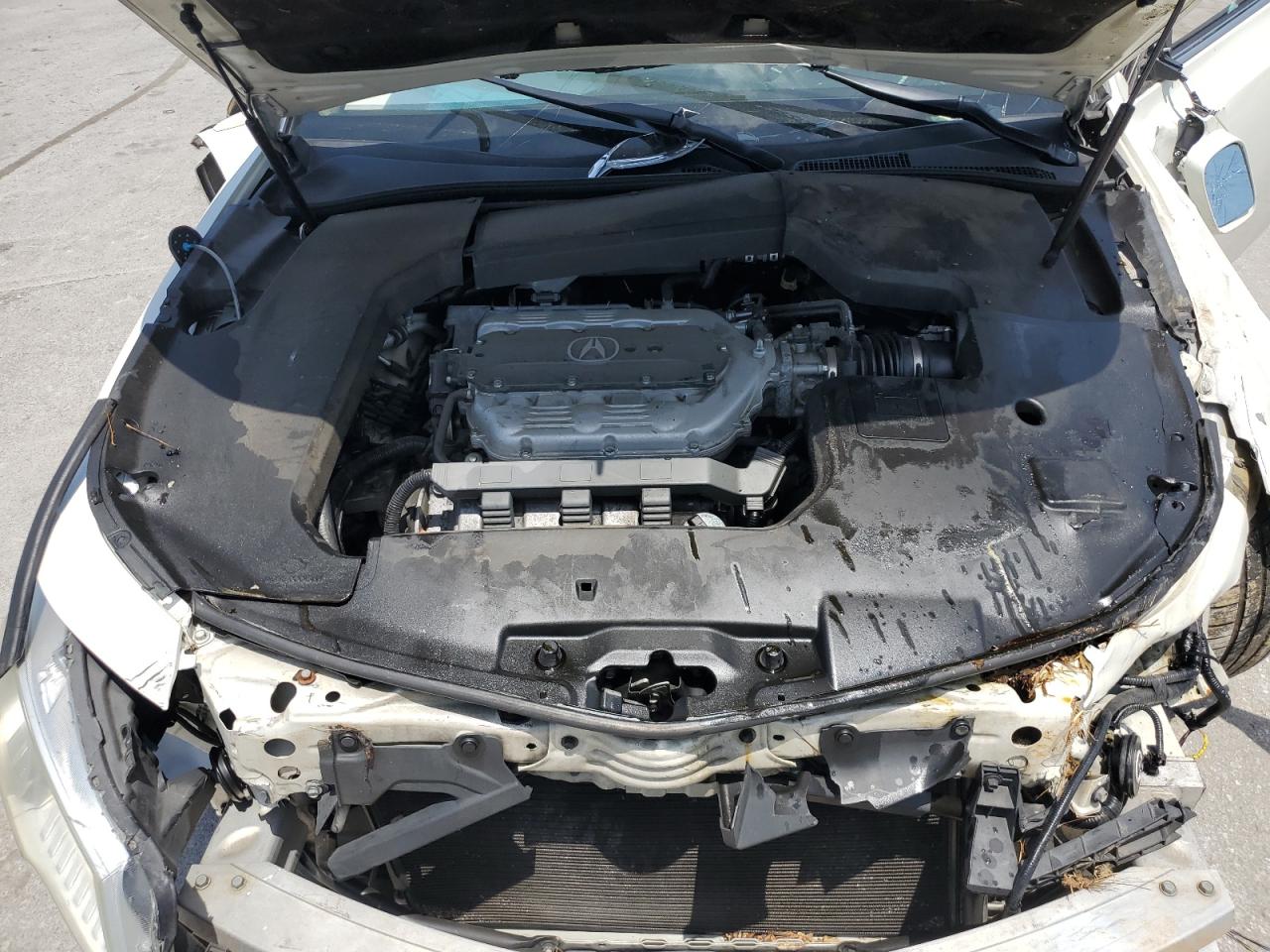 19UUA8F55AA015980 2010 Acura Tl