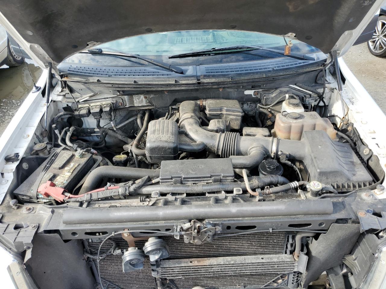 1FTFW1EV4AFB72128 2010 Ford F150 Supercrew