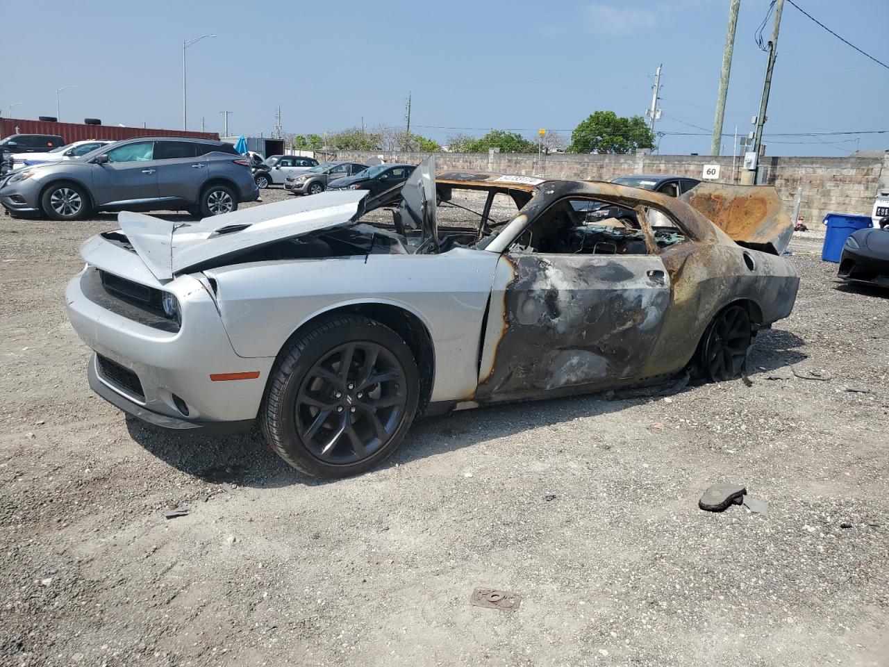 Lot #3049599706 2023 DODGE CHALLENGER