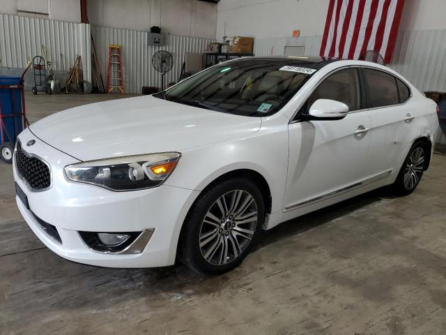 2014 Kia Cadenza Premium VIN: KNALN4D76E5138520 Lot: 54118324