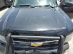 Lot #2974387461 2012 CHEVROLET TAHOE POLI