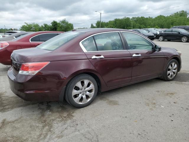 2010 Honda Accord Exl VIN: 5KBCP3F81AB007437 Lot: 54081254