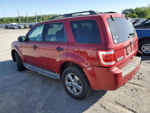 2011 Ford Escape Xlt VIN: 1FMCU9DGXBKA74350 Lot: 54641944