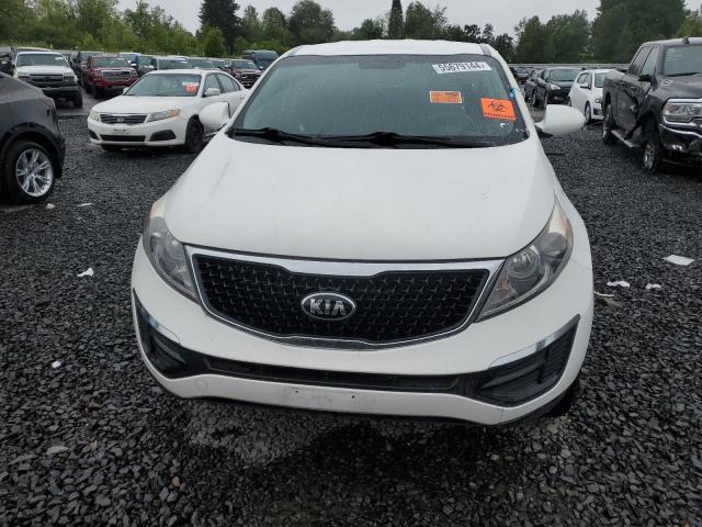 2016 Kia Sportage Lx VIN: KNDPBCAC8G7819200 Lot: 55679144