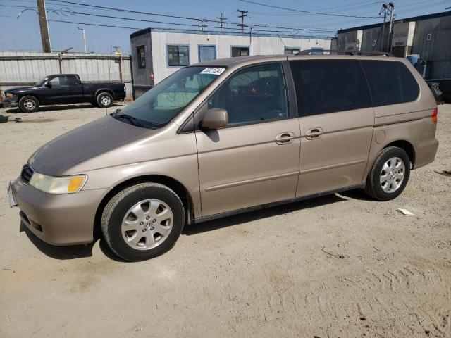 2003 Honda Odyssey Ex VIN: 5FNRL18663B063106 Lot: 56021534