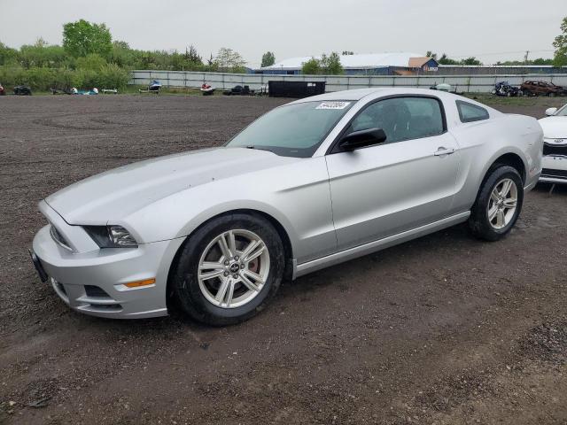 Lot #2535706101 2014 FORD MUSTANG salvage car