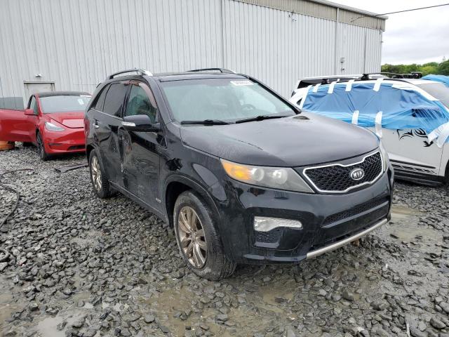 2011 Kia Sorento Sx VIN: 5XYKWDA20BG121929 Lot: 54066844