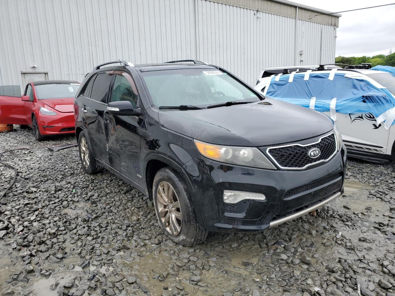 5XYKWDA20BG121929 2011 Kia Sorento Sx