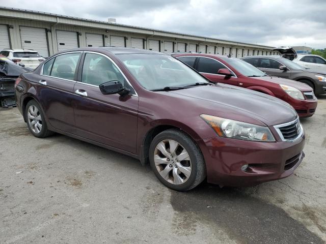 2010 Honda Accord Exl VIN: 5KBCP3F81AB007437 Lot: 54081254