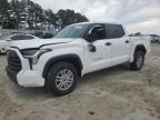 2024 TOYOTA TUNDRA CRE - 5TFLA5AB5RX035399