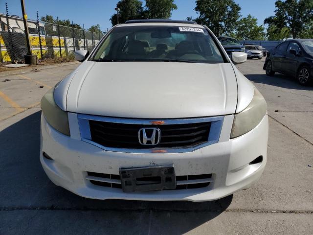 2008 Honda Accord Exl VIN: 1HGCP36888A056637 Lot: 53297344