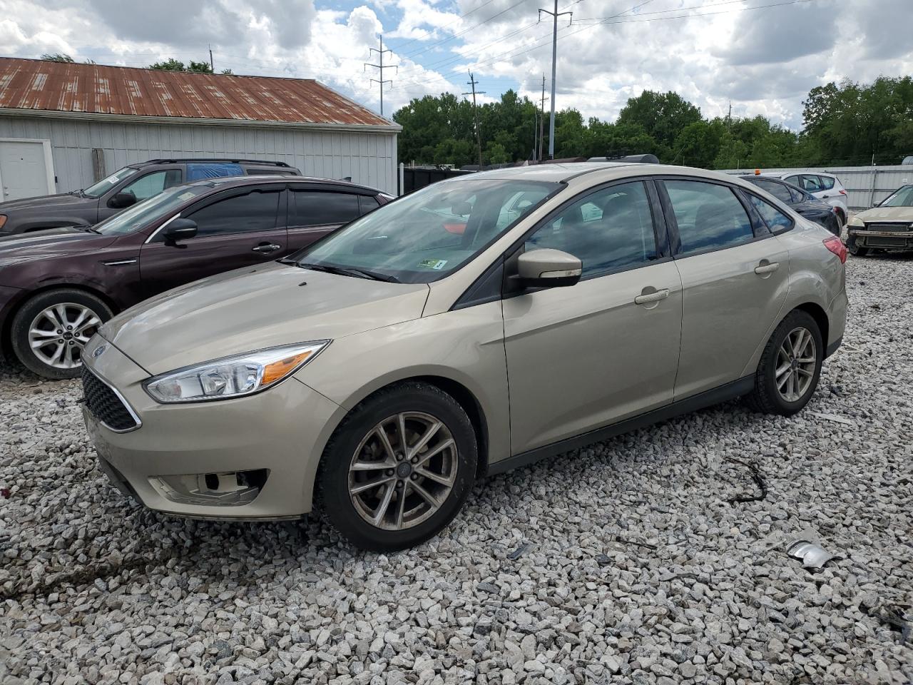 1FADP3F25FL383406 2015 Ford Focus Se