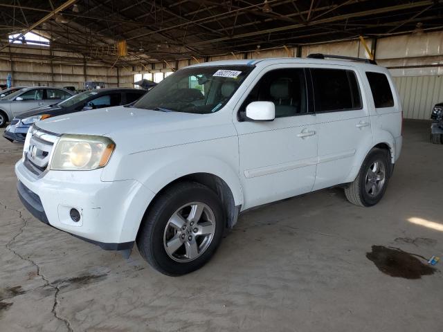 2009 Honda Pilot Exl VIN: 5FNYF38619B010577 Lot: 55227114