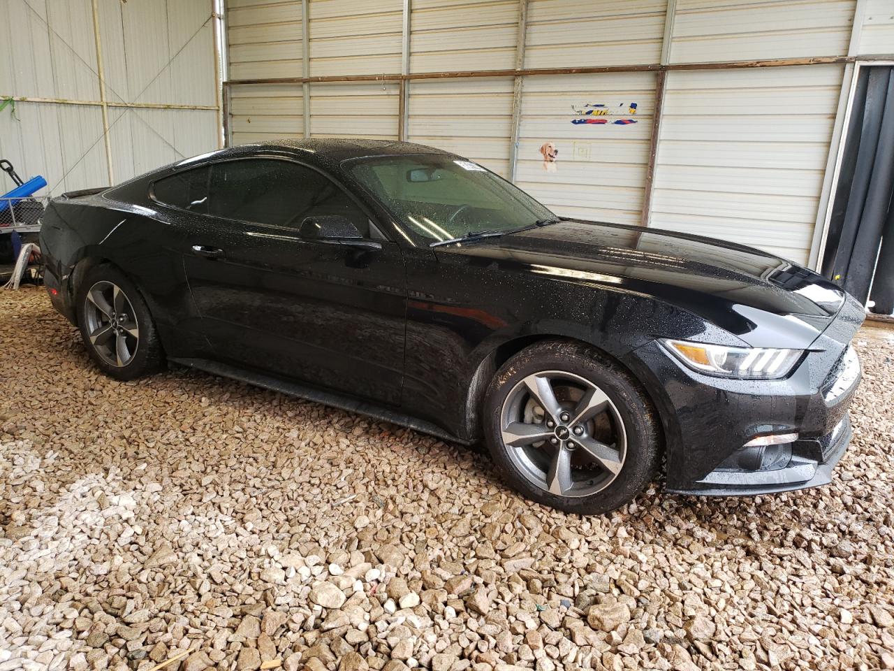 1FA6P8AM1G5240702 2016 Ford Mustang