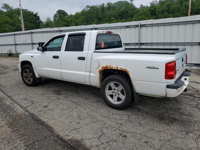 2011 Dodge Dakota Slt VIN: 1D7RW3GP7BS701917 Lot: 56801244