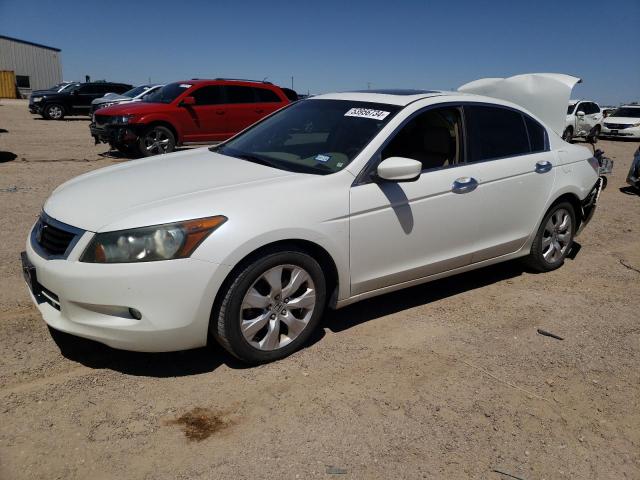 2010 Honda Accord Exl VIN: 1HGCP3F82AA024854 Lot: 53956734