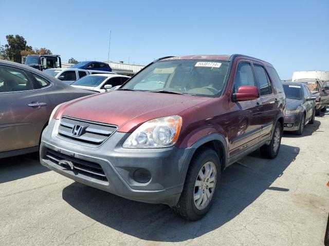 2005 Honda Cr-V Ex VIN: JHLRD78885C026658 Lot: 55381714