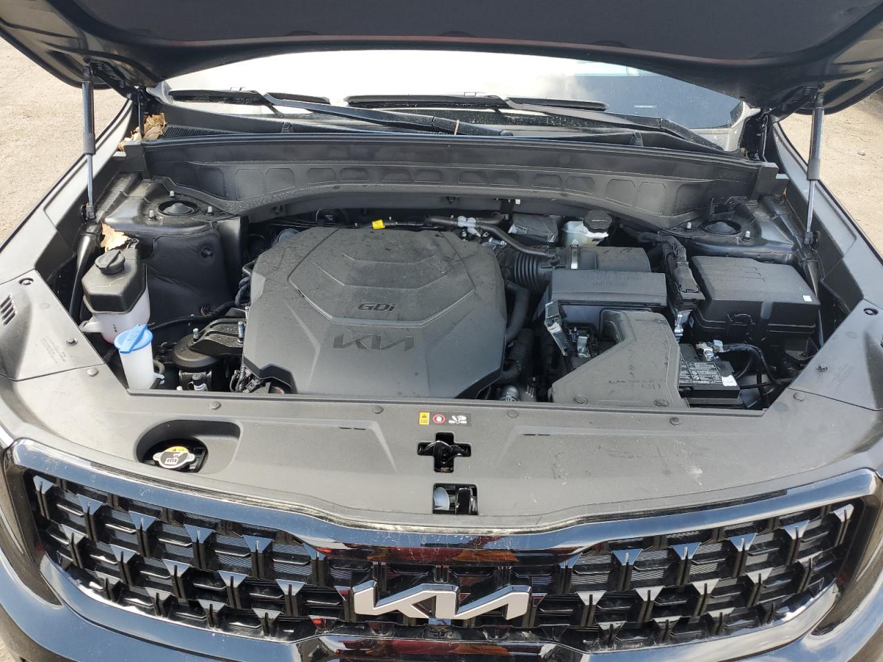 5XYP5DGC7RG445821 2024 Kia Telluride Sx